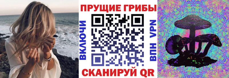 Галлюциногенные грибы прущие грибы  купить наркотик  Петровск 